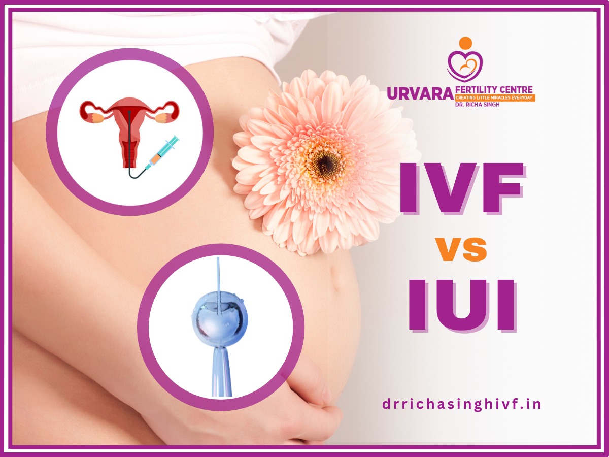 comparing-the-differences-iui-and-ivf
