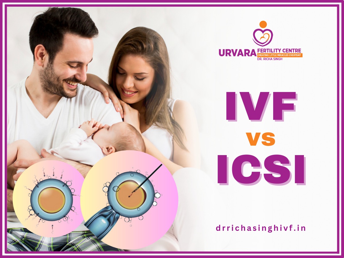 IVF and ICSI: Comparing the Differences, Success Rates and Costs