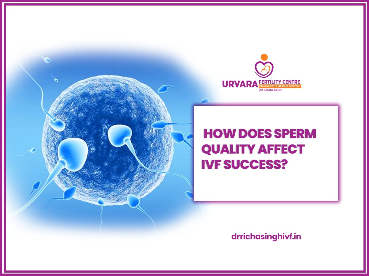 how-does-sperm-quality-affect-ivf-success
