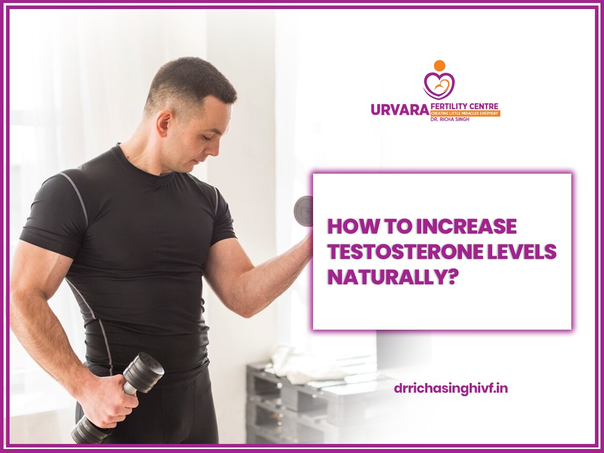 How To Increase Testosterone Levels Naturally?