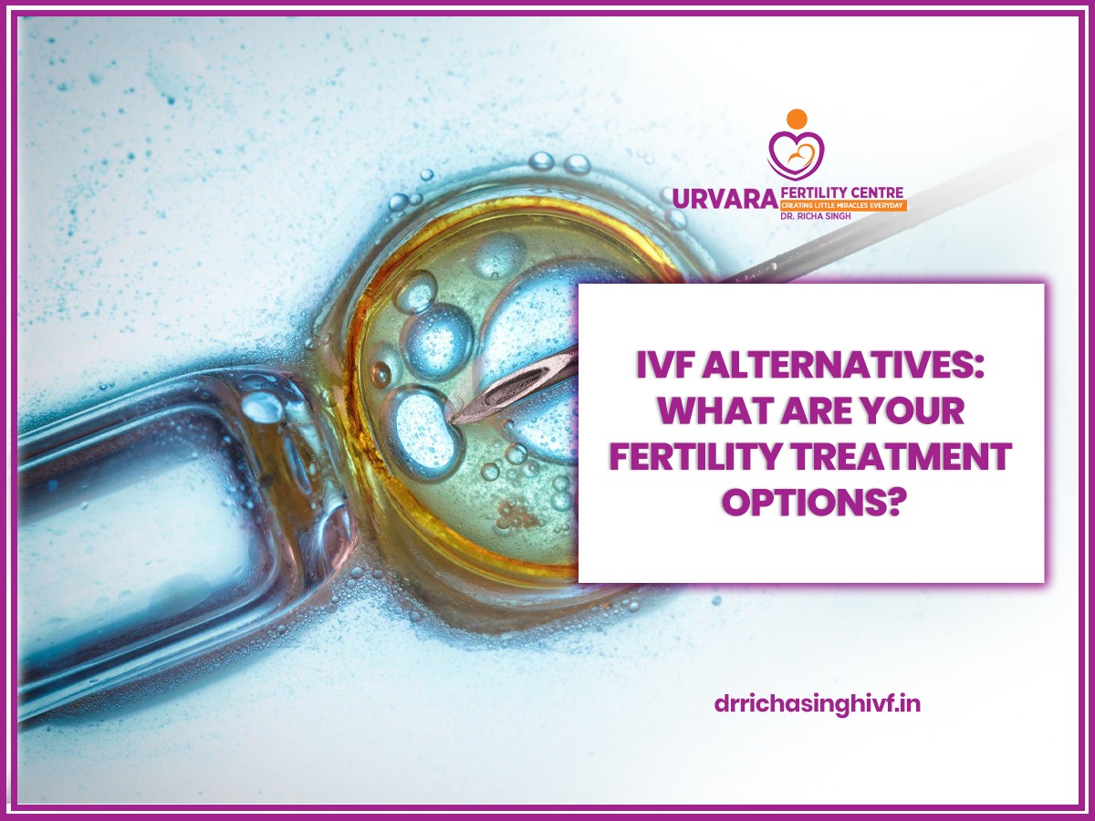 IVF Alternatives: Fertility Treatment Options