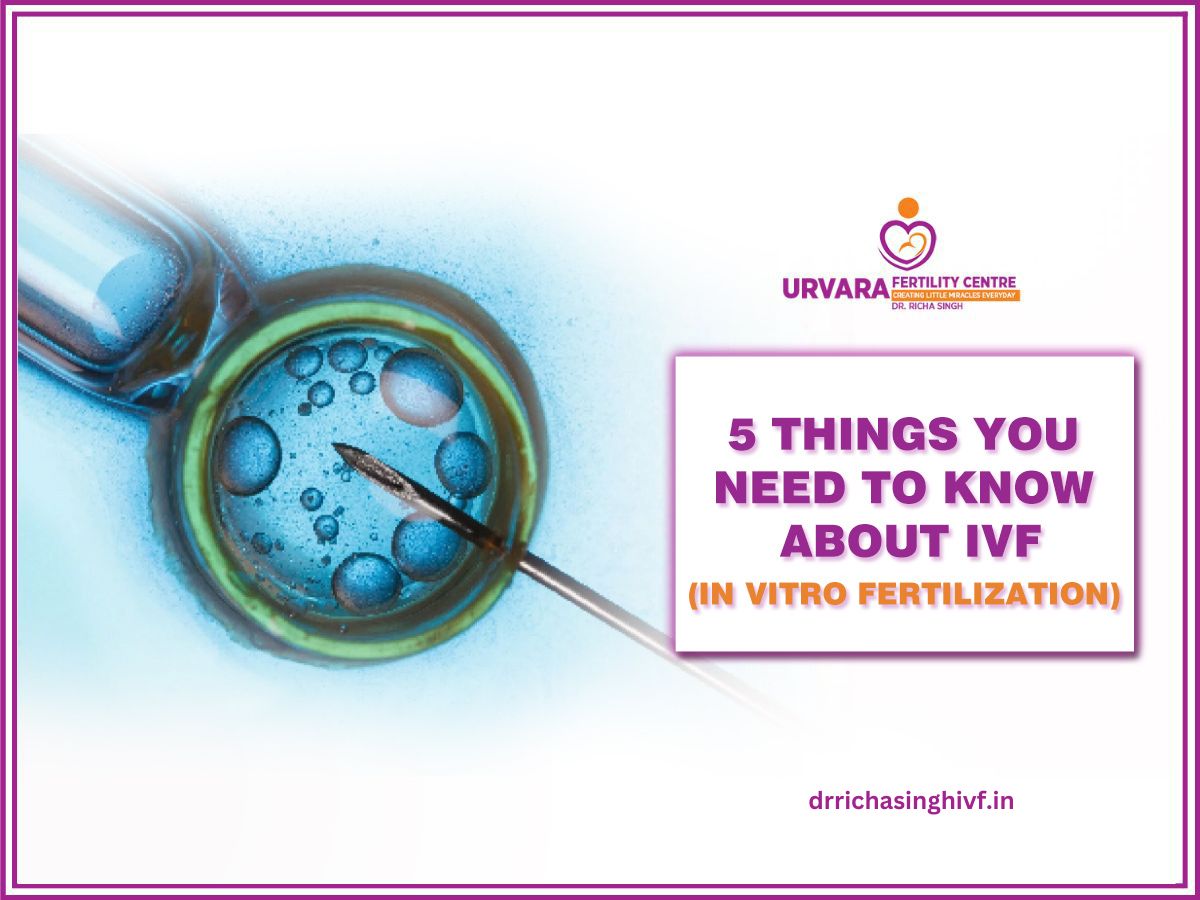 5 Things You Need to Know About IVF (In vitro fertilization)