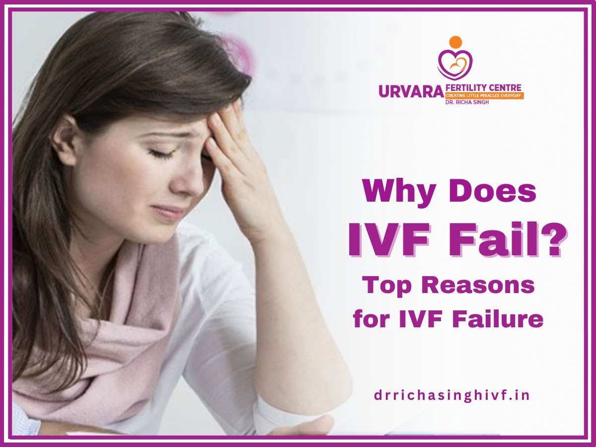Why Does IVF Fail?