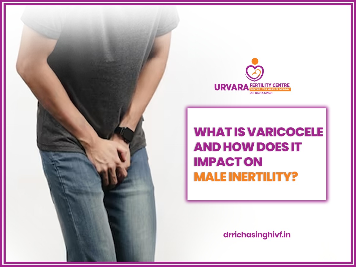 What is Varicocele And How Does it Impact on Male Infertility?